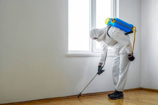 Best Affordable Pest Control Services  in Lakeview, CA