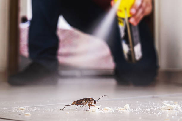 Best Exterminator Services  in Lakeview, CA